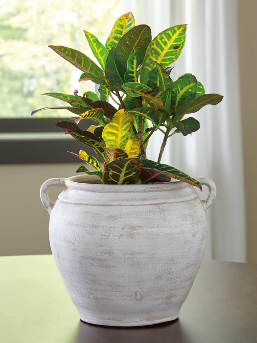Meadie Vase - MI Hometown Furnishings (MI)*
