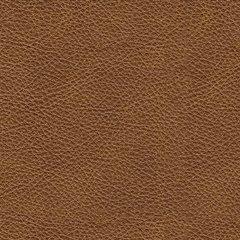 Carianna Sofa - MI Hometown Furnishings (MI)*