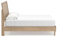 Cielden Bed - MI Hometown Furnishings (MI)*