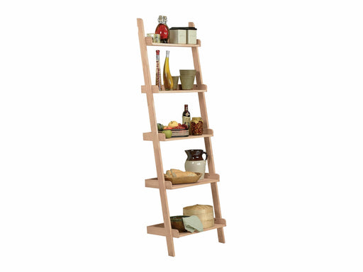 Bookcases Accessory Ladder image