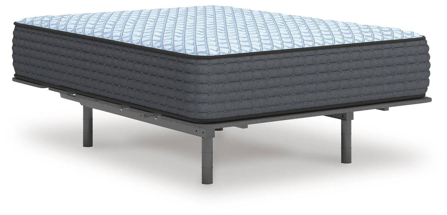 Destin Cove Firm Mattress - MI Hometown Furnishings (MI)*