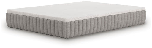 Terra Sleep Firm Mattress - MI Hometown Furnishings (MI)*