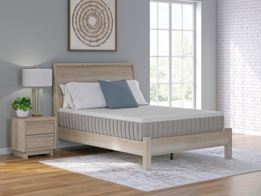 Terra Sleep Firm Mattress - MI Hometown Furnishings (MI)*