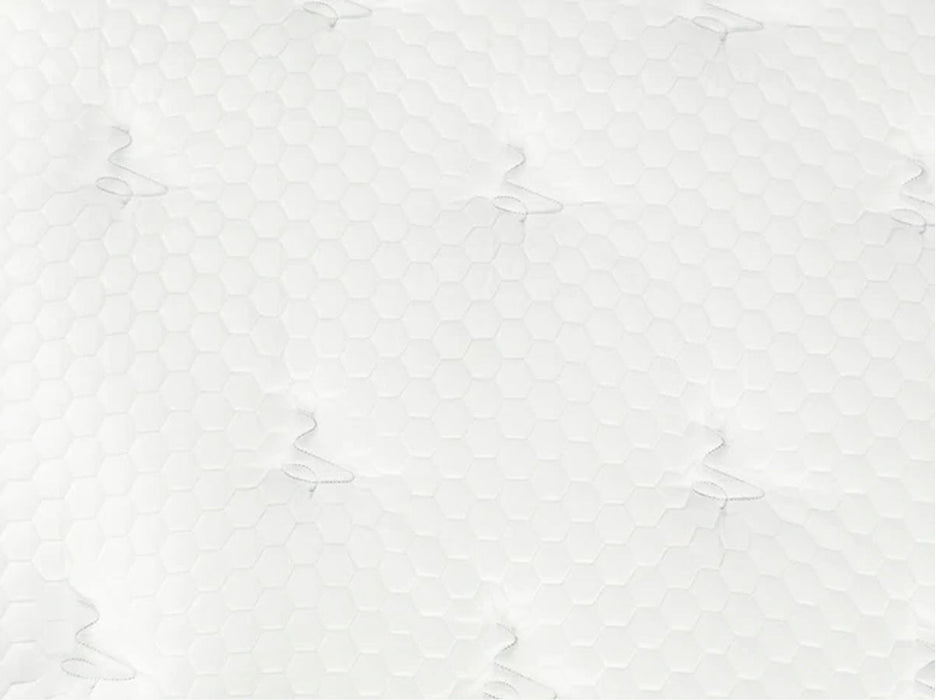 Titan® Plus Luxe