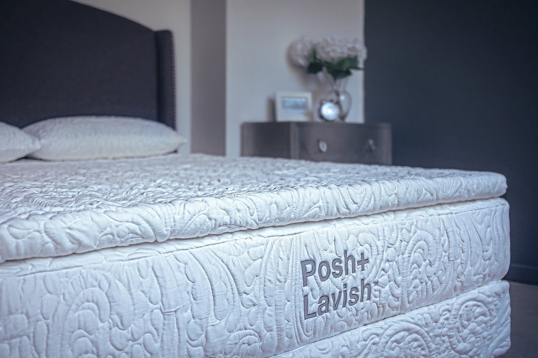 Posh + Lavish Reawaken True Pillow Top (Latex)