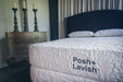 Posh + Lavish Reveal (Latex) - MI Hometown Furnishings (MI)*