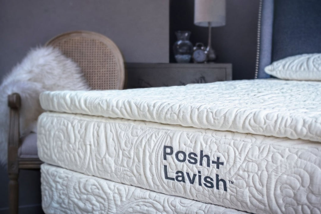 Posh + Lavish Predominant True Pillow Top (Pocket Sprung) - MI Hometown Furnishings (MI)*