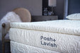 Posh + Lavish Predominant True Pillow Top (Pocket Sprung) - MI Hometown Furnishings (MI)*